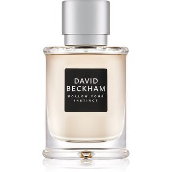 David Beckham Follow Your Instinct toaletní voda pro muže 75 ml