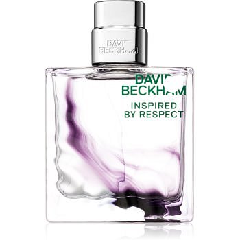 David Beckham Inspired By Respect toaletní voda pro muže 60 ml