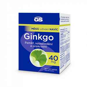 Gs Ginkgo 40mg Tbl.90+30