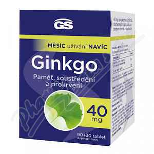 Gs Ginkgo 40mg Tbl.90+30