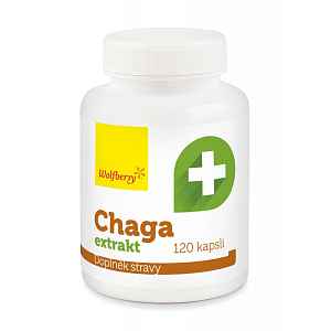 Wolfberry Chaga extrakt 120 kapslí