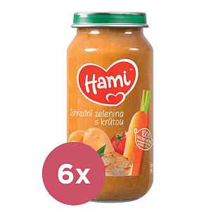 6x HAMI Zahradní zelenina s krůtou (250 g) - maso-zeleninový příkrm