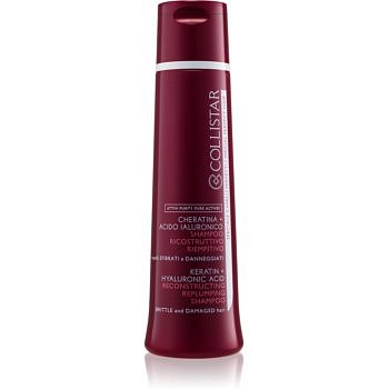 Collistar Special Perfect Hair regenerační šampon pro slabé a poškozené vlasy  250 ml