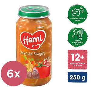 6x HAMI Bolonské špagety (250 g) - mäso-zeleninový príkrm