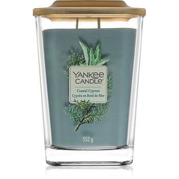 Yankee Candle Elevation Coastal Cypress vonná svíčka velká 552 g