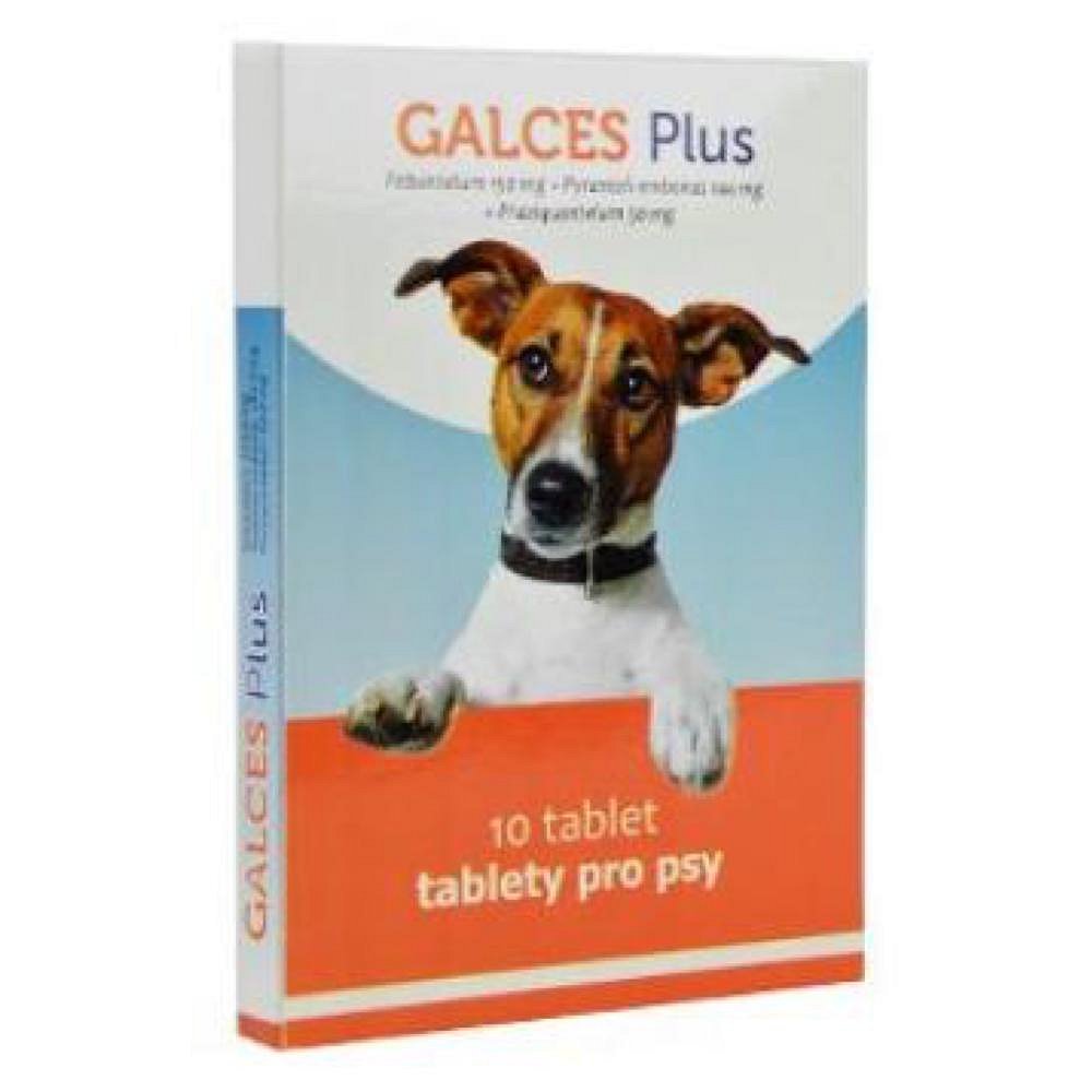 GALCES Plus 10 tablet