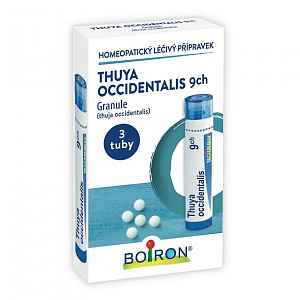 Thuya Occidentalis 3ch-30ch granule 3x4g