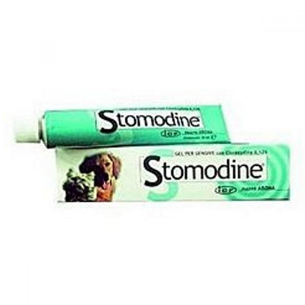 Stomodine gel 30g