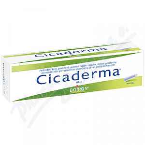 CICADERMA UNG 1X30GM