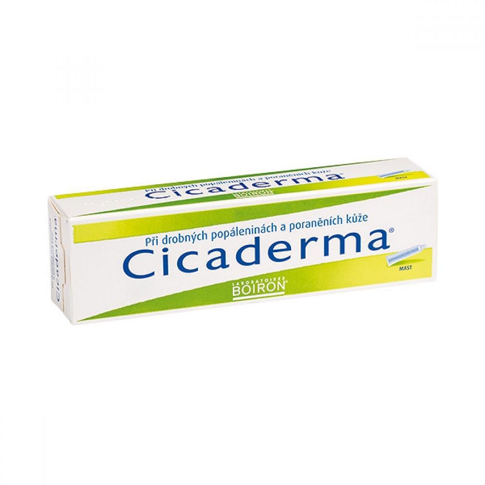 CICADERMA UNG 1X30GM