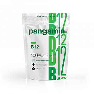 Pangamin B12 200 tablet