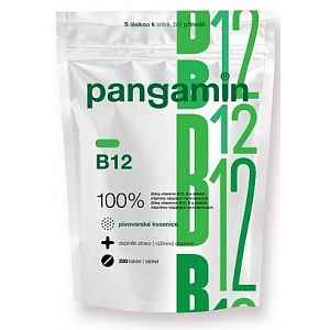 Pangamin B12 200 tablet