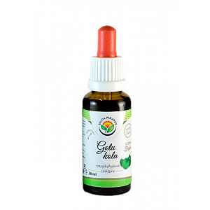 SALVIA PARADISE Gotu kola AF tinktura 50 ml