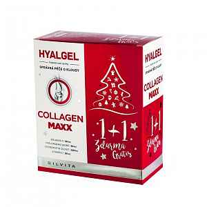 Hyalgel Collagen MAXX vánoční balení 2020 2x500 ml