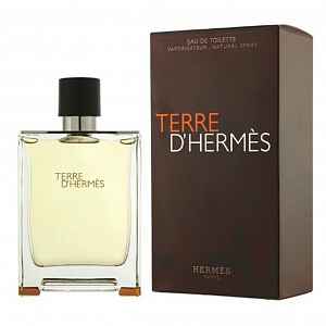 Hermes Terre D&#039;Hermes toaletní voda pánská 100 ml