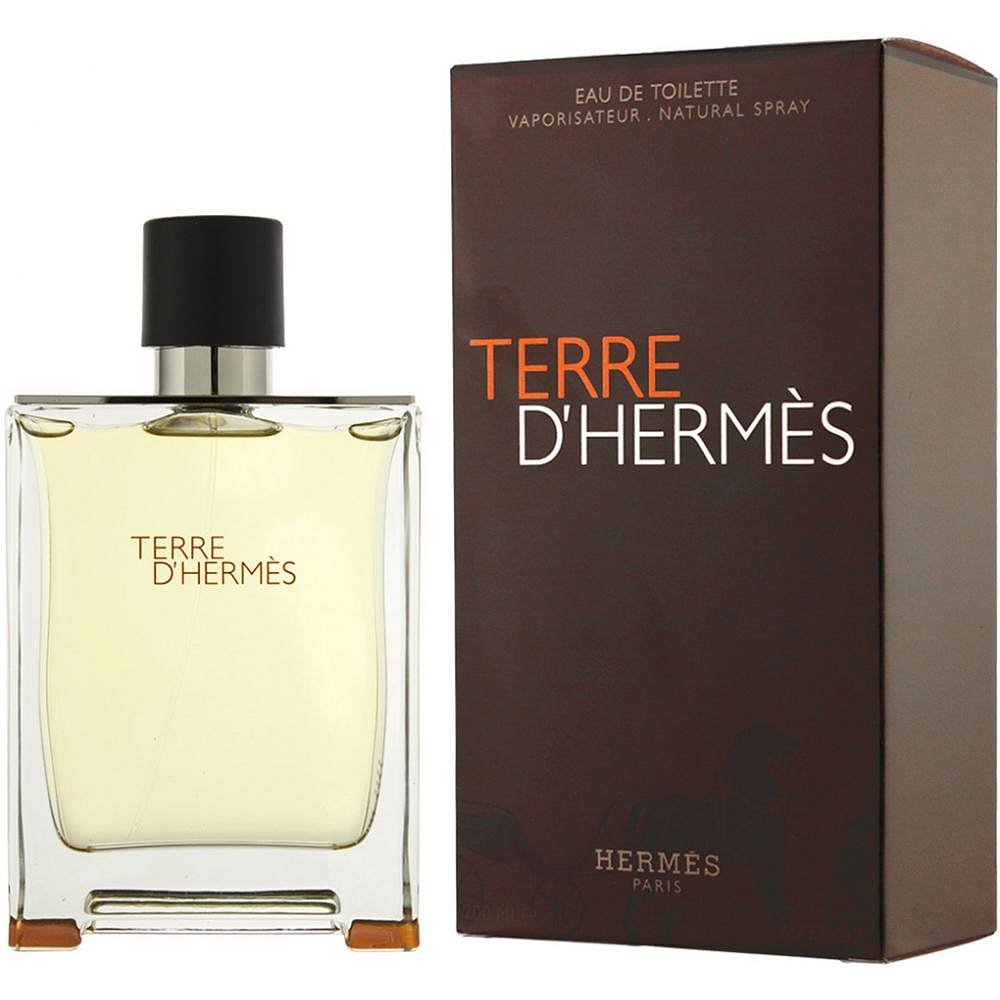 Hermes Terre D&#039;Hermes toaletní voda pánská 100 ml