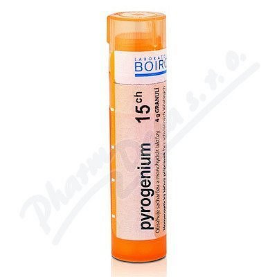 Pyrogenium CH15 gra.4g