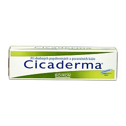 Cicaderma mast 30 g