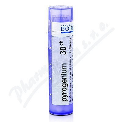 Pyrogenium CH30 gra.4g